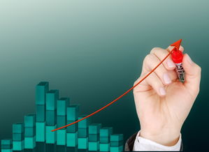 爱游戏app推荐-运动项目职业路径设计与发展研究，运动职业化